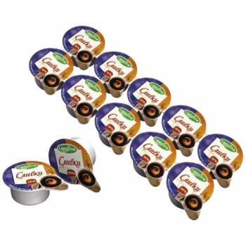 Сливки порционные CAMPINA 10%, (10 мл х 10 шт)