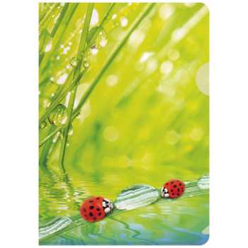 Папка-уголок BERLINGO "Ladybird" А4, 180 мкм